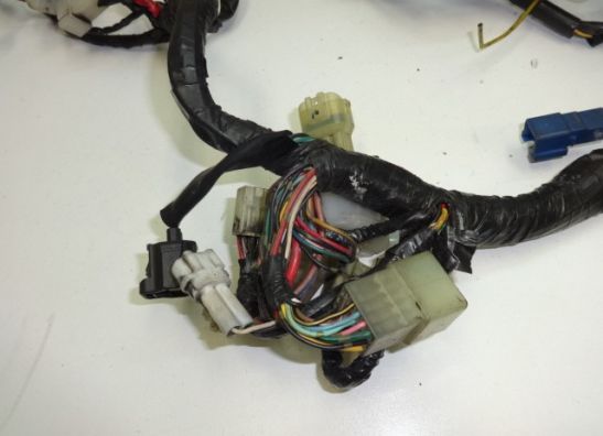 Kabelbaum Yamaha FJR 1300