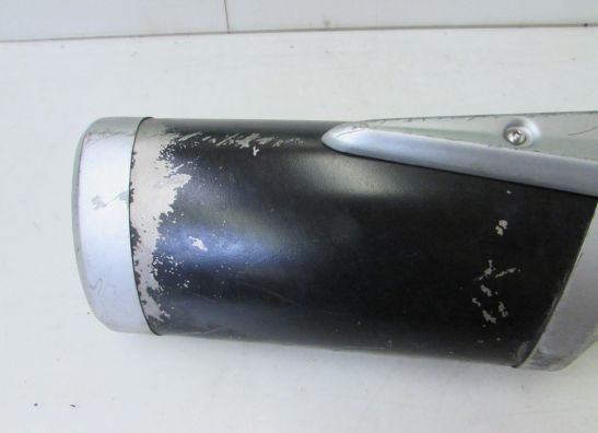 Uitlaat Kawasaki Z 750