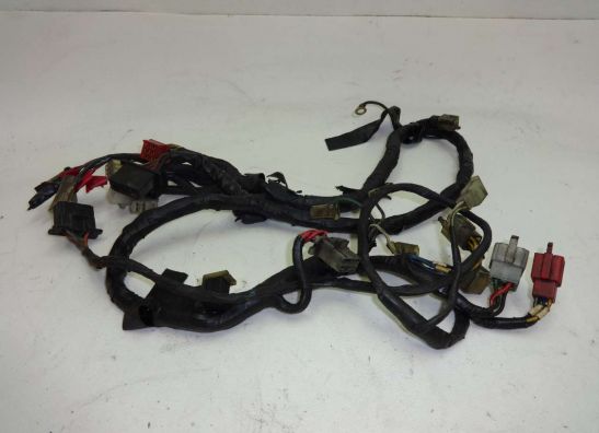 Wire Harness Honda CB 900
