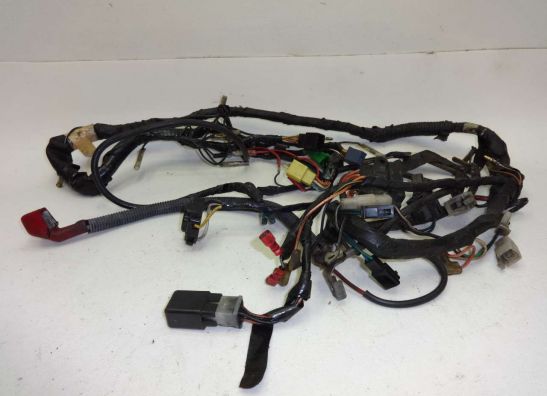 Wire Harness Suzuki VX 800