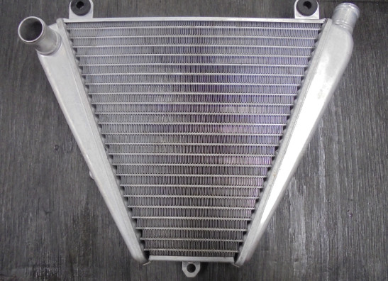 Radiateur Ducati 1299 Panigale