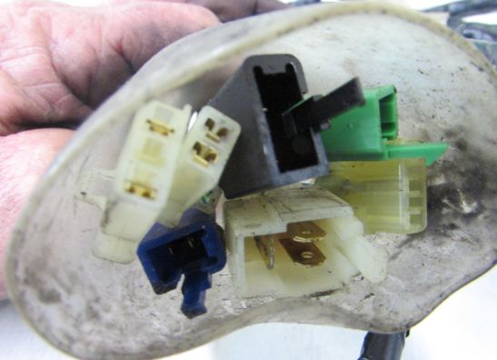 Wire Harness Honda CBF 600