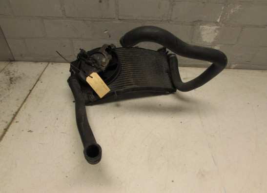 Radiator Honda CBR Fireblade