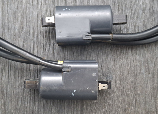 Bobine Suzuki GSF 600 650 Bandit 