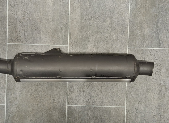 Auspuff Yamaha FZR 600