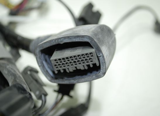 Kabelboom voor Suzuki GSX R 600