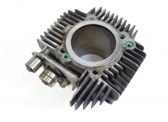 Cilinderblok Ducati monster 600