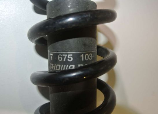 Stossdämpfer vorne BMW R 1200 RT