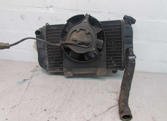 Radiator Yamaha TDM