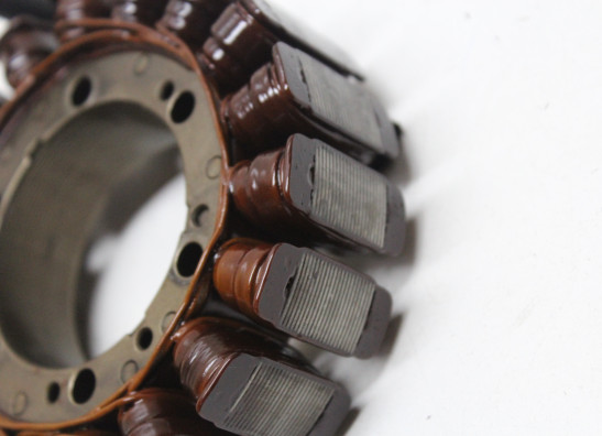 Dynamo BMW F 800 S - ST