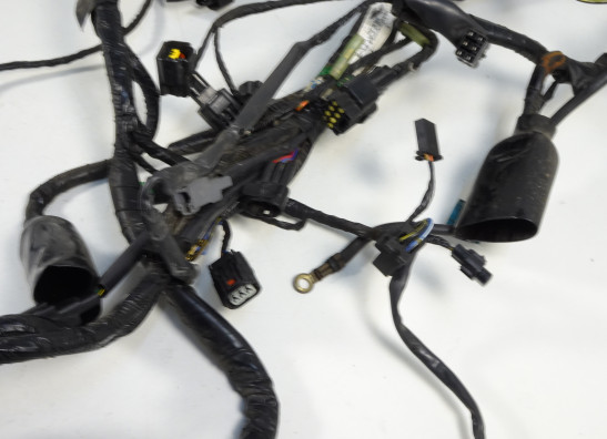 Kabelbaum Kawasaki ER 6