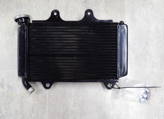 Radiateur Husqvarna Svartpilen 125 2022-2023