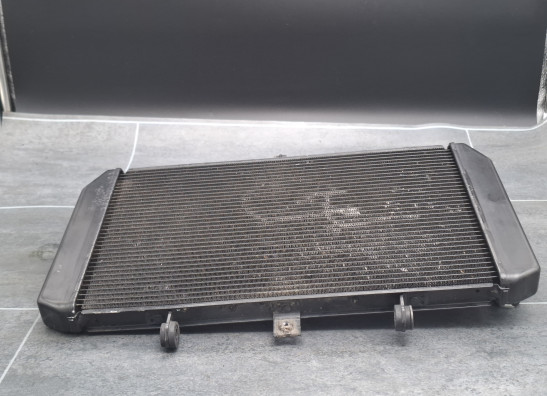 Radiateur Kawasaki Z 800