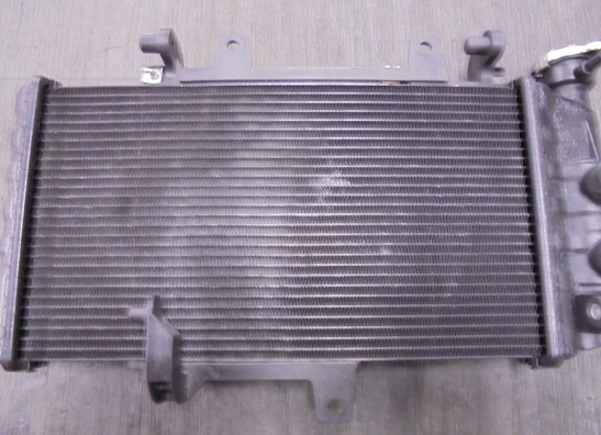 Radiateur BMW F 800 GT