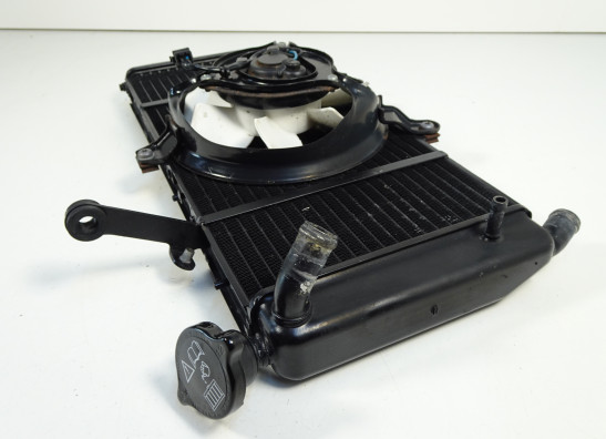 Radiateur Triumph Sprint ST 1050
