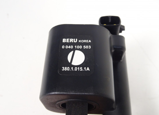 Bobine Ducati monster 696