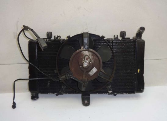Radiator Honda CBR 1000 F