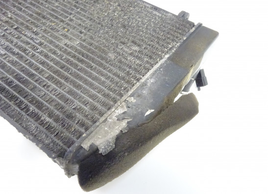 Radiator Yamaha YZF R6