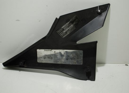 Cowl left small Kawasaki ZX 10 R