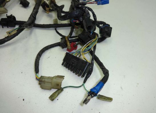 Wire Harness Honda ST 1100 Pan European