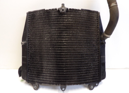 Radiateur Suzuki RF 900 1993-1996