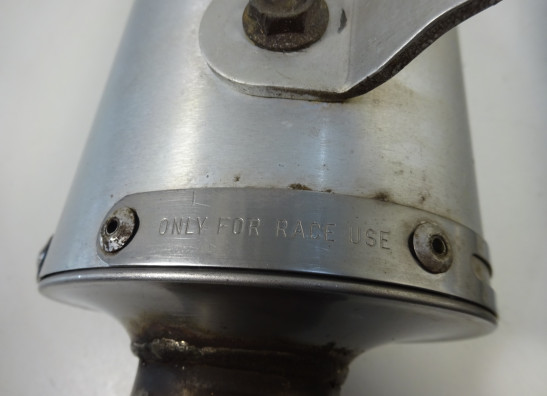 Sports exhaust Ducati Monster 695