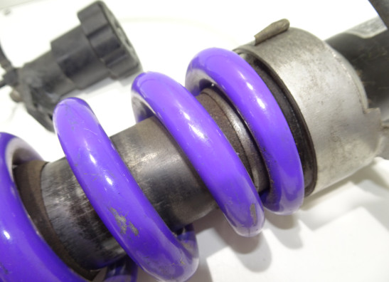 Stossdampfer hinten BMW R 1150 GS