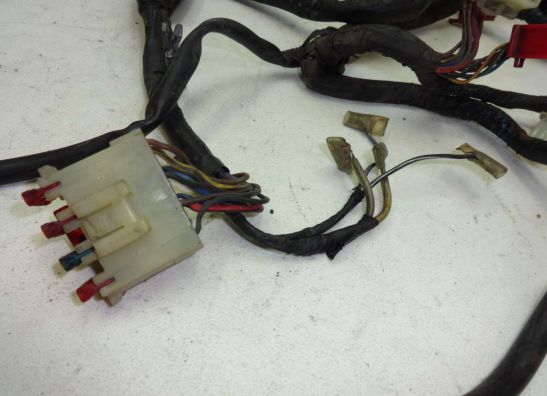 Kabelboom Honda PC 800