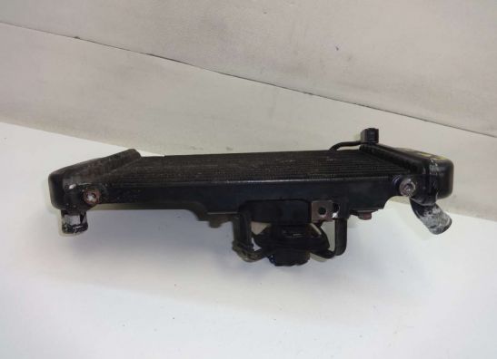 Radiator Kawasaki EL 250