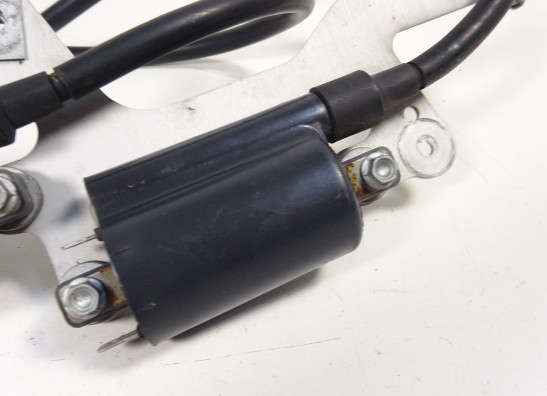 Bobine Aprilia Tuono 1000