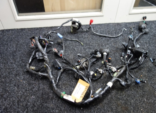 Wire Harness Kawasaki Z 800
