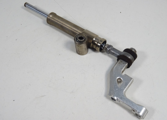 Steering damper BMW F 800 S - ST