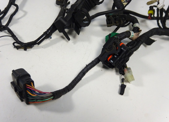 Kabelboom Ducati monster 796