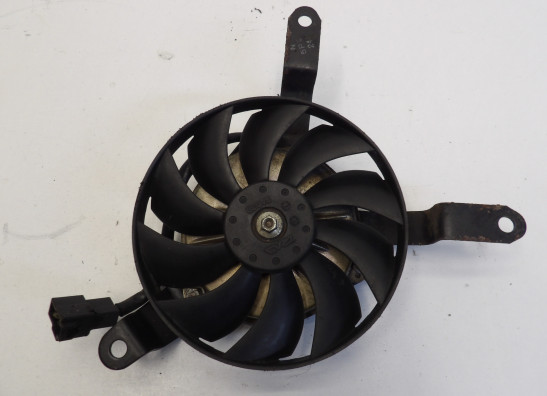 Fan Yamaha FZ6