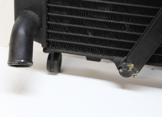 Radiateur Yamaha FZR 750 R OWO1