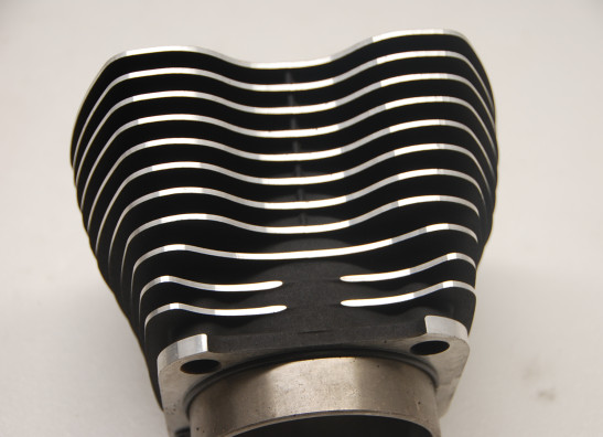 Cilinderblok Harley Davidson Softtail