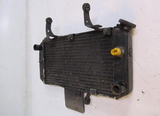 Radiateur Suzuki DL 650 V STROM