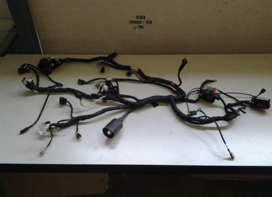 Kabelbaum Aprilia Shiver 750