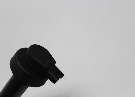 Bobine BMW F 800 S - ST