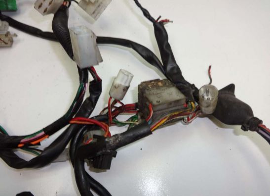 Kabelboom Suzuki RF 600