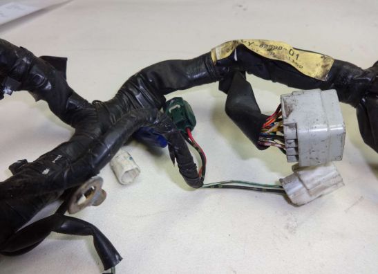 Kabelbaum Yamaha YZF R1