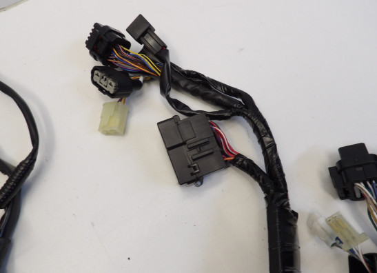 Wire Harness Kawasaki ZX 10 R