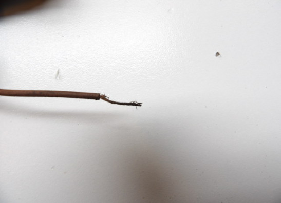 Kabelboom Honda CX 500