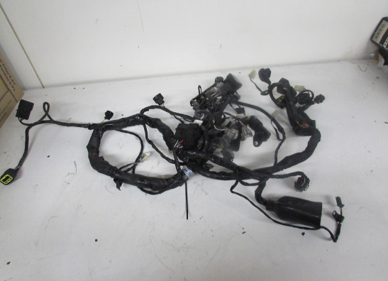 Kabelboom Kawasaki Z 1000