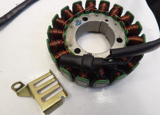 Dynamo Benelli TRK 502 X