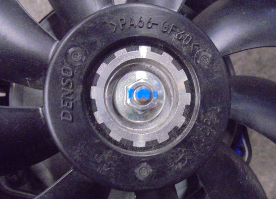 Fan Suzuki DL 650 V Strom XTA