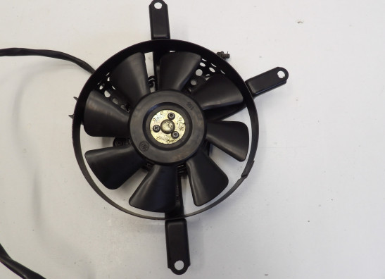 Fan Kawasaki VN 800