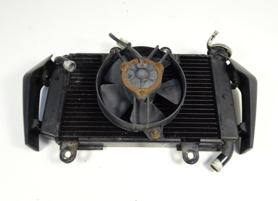 Radiateur KTM 125 Duke