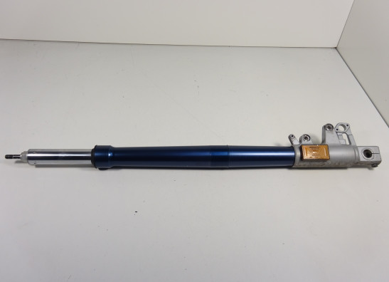 Standrohr Gabelholm links komplett BMW R 1150 GS