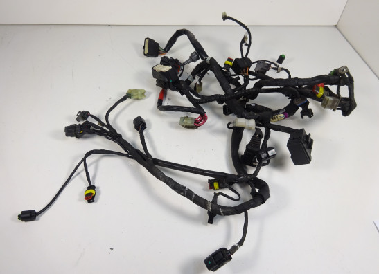 Wire Harness Ducati monster 1100